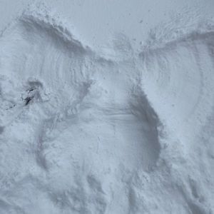 Meet your Posher, Avalon